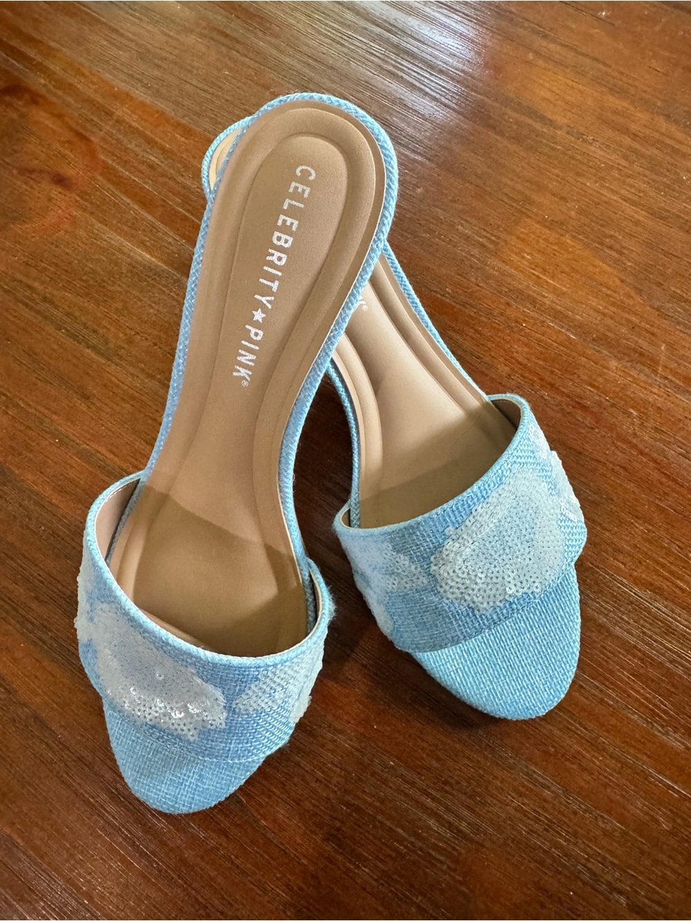 Celebrity Pink Light Blue Sequin Floral Slide Mules